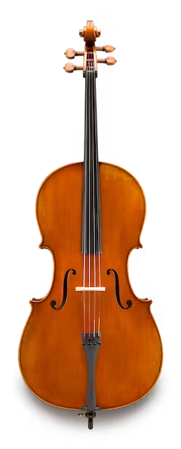 Andreas Eastman 605 Cello | Blackerby Violin Shop